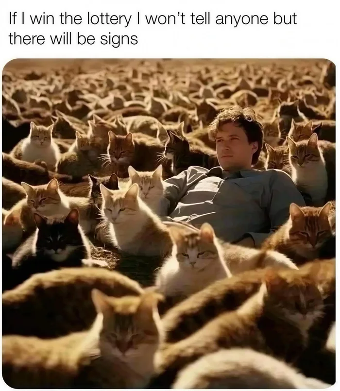 Meme with text 'If I win the lottery I won't tell anyone but there will be signs' over an image of a man lying peacefully in a field packed with hundreds of cats.