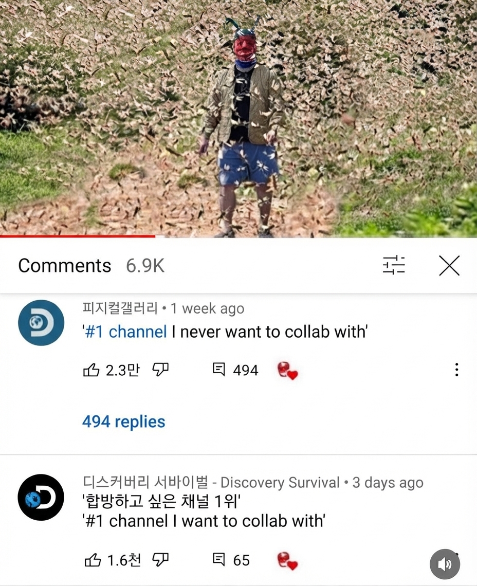 Screenshot of YouTube comments on YouTuber U-ma's video standing among a swarm of locusts: Physical Gallery commented '#1 channel I never want to collab with', while Discovery Survival commented '#1 channel I want to collab with'.