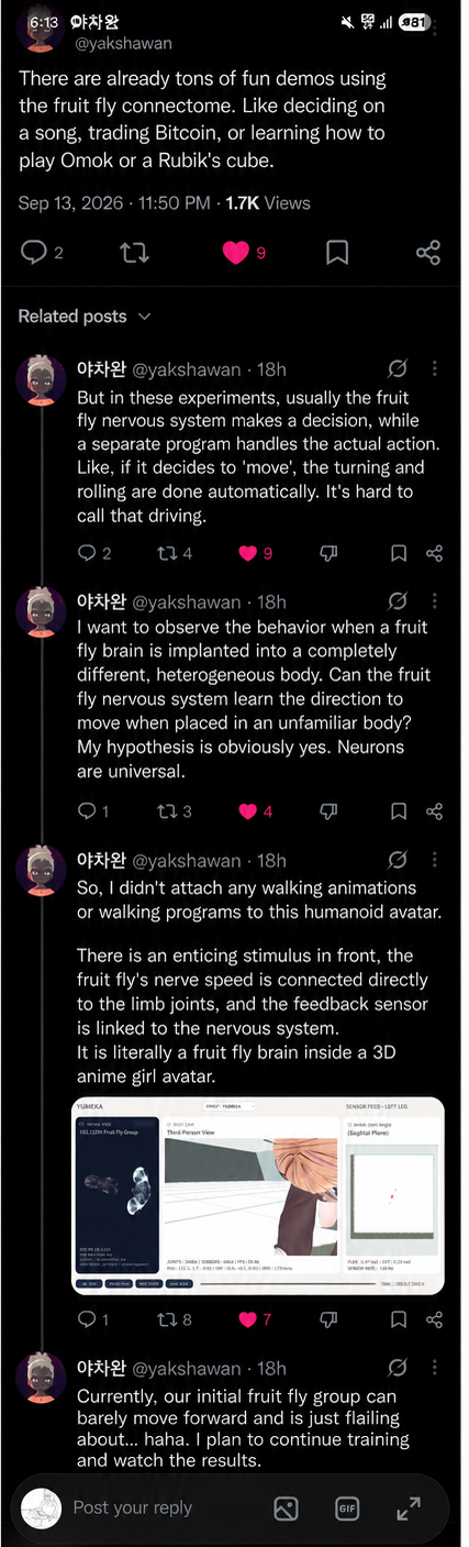 Screenshot of an SNS post about an experiment where a fruit fly connectome is connected to a 3D anime girl avatar to train it to move on its own