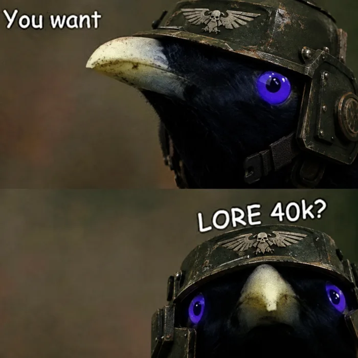 A two-panel meme featuring a crow wearing a Warhammer 40k Imperial Guard helmet, captioned 'You want' in the first panel and 'LORE 40k?' in the second as it stares forward.