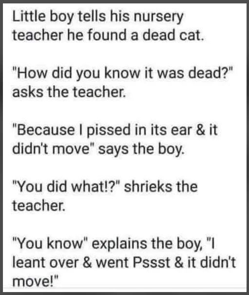A text joke about a boy telling his nursery teacher he found a dead cat, explaining that he leaned over and whispered 'Pssst' in its ear.
