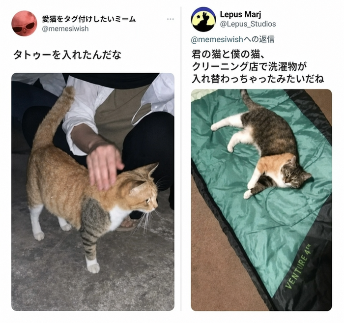 左側には、片方の前足だけグレーのタビー柄であるオレンジ色のタビー猫が「タトゥーを入れたんだな」というキャプションと共に写っており、右側には、片方の前足だけオレンジ色であるグレーのタビー猫が「君の猫と僕の猫、クリーニング店で洗濯物が入れ替わっちゃったみたいだね」というキャプションと共に並んで比較されている。
