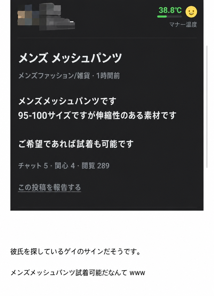 中古取引アプリで「メンズメッシュパンツ」、「ご希望であれば試着も可能です」と書かれた販売投稿のスクリーンショット