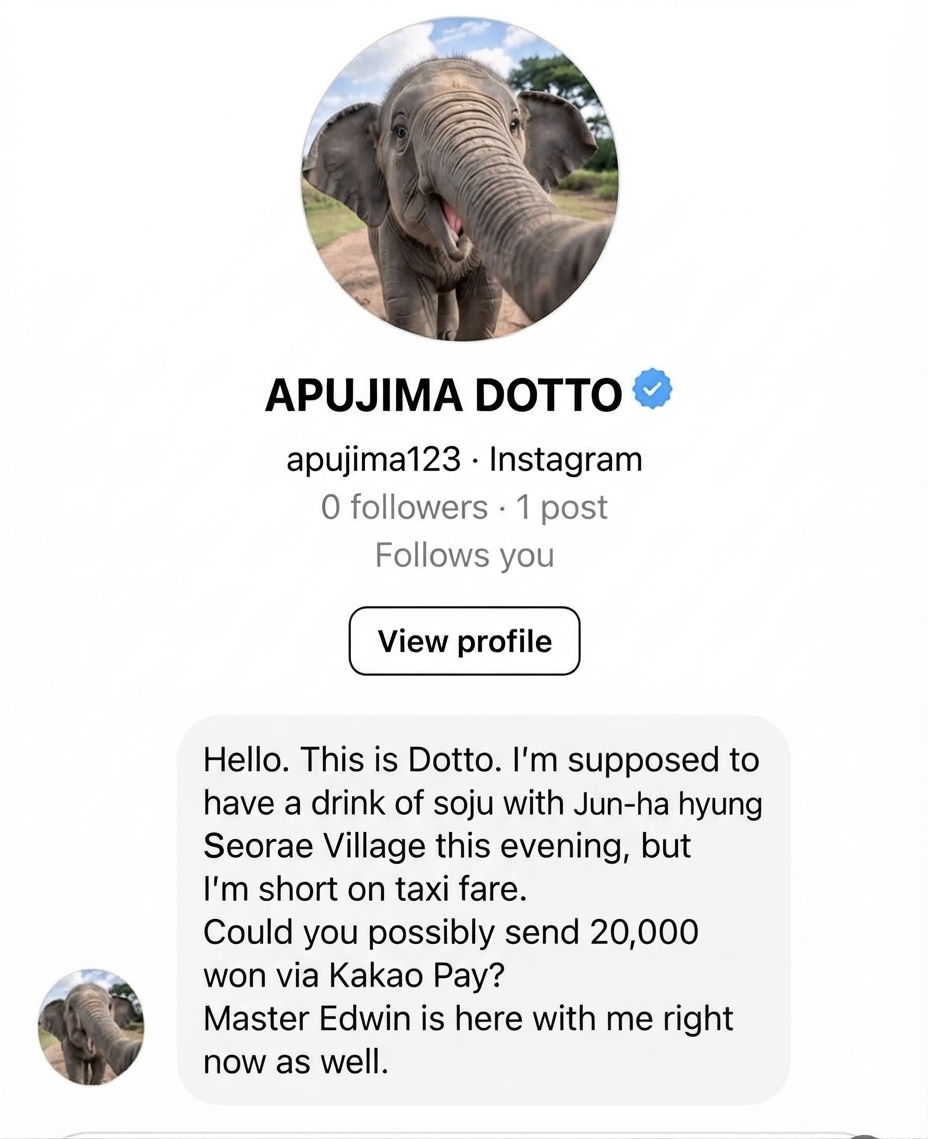 A screenshot of an Instagram direct message from an account named 'APUJIMA DOTTO' featuring a profile picture of the elephant Dotto, claiming he is meeting Jeong Jun-ha for soju in Seorae Village tonight and asking for 20,000 won via Kakao Pay because he is short on taxi fare.