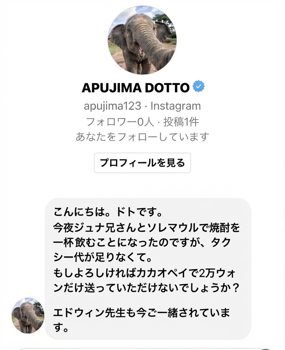 ゾウのドトのプロフィール写真を設定した「APUJIMA DOTTO」というInstagramアカウントから、今晩チョン・ジュナとソレマウルで焼酎を飲む約束があるがタクシー代が足りないためカカオペイで2万ウォン送ってほしいと頼むDMのスクリーンショット。