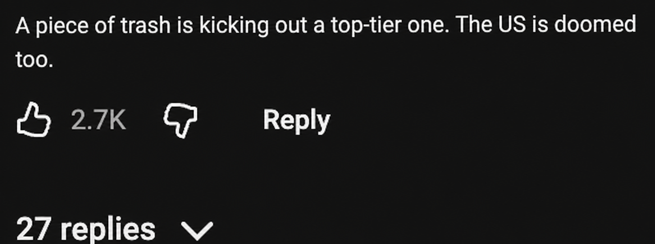 YouTube comment screenshot: 'A bottom-tier person kicking out a top-tier expert. The US is truly going downhill.'