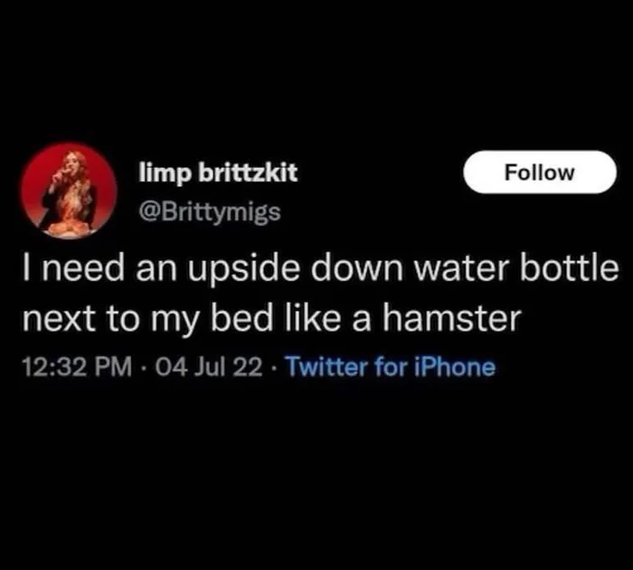 Screenshot of a tweet by limp brittzkit (@Brittymigs) saying: 'I need an upside down water bottle next to my bed like a hamster'