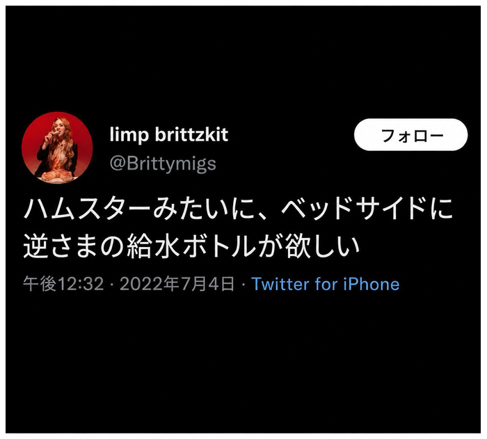 「ハムスターみたいに、ベッドサイドに逆さまの給水ボトルが欲しい」というlimp brittzkit (@Brittymigs)のツイートのスクリーンショット