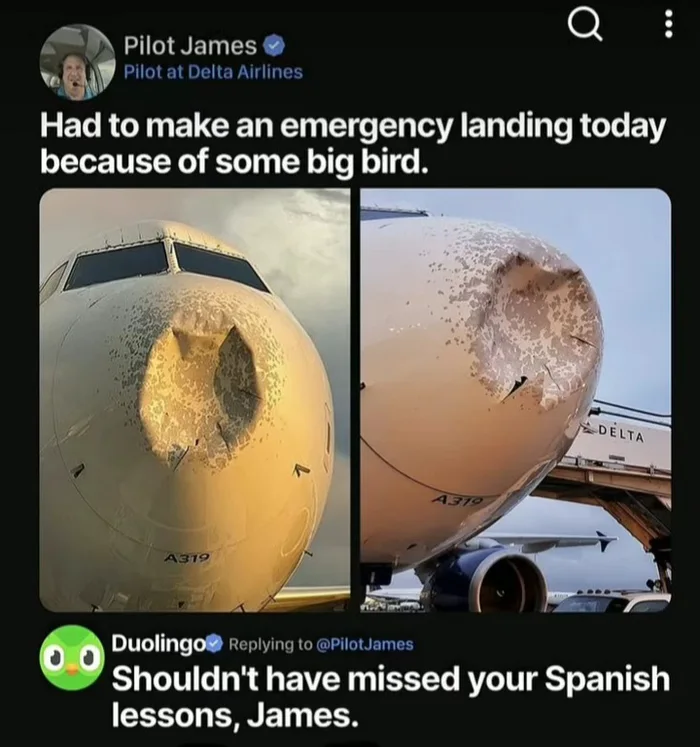 A social media post by Pilot James showing a plane with a heavily dented nose cone after hitting a large bird, followed by a threatening reply from Duolingo warning him about missing his Spanish lessons.