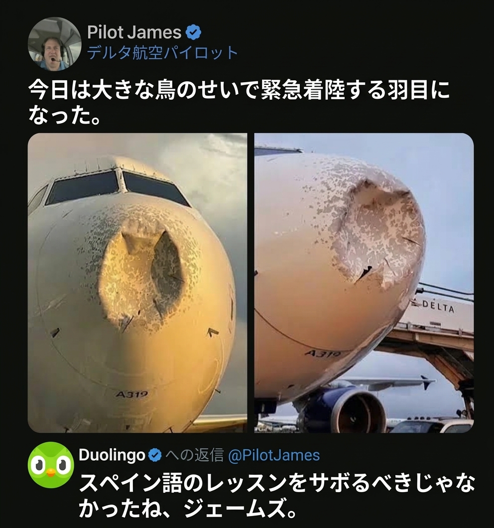 機首が大きくへこんだ飛行機の写真と、スペイン語のレッスンをサボったパイロットへ警告するDuolingoのリプライ。