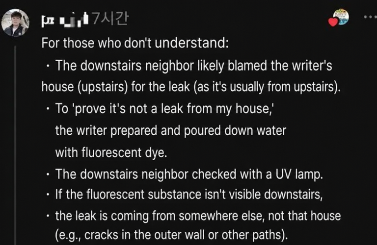 A screenshot of a comment explaining how to identify leaks using fluorescent dye and a UV lamp.