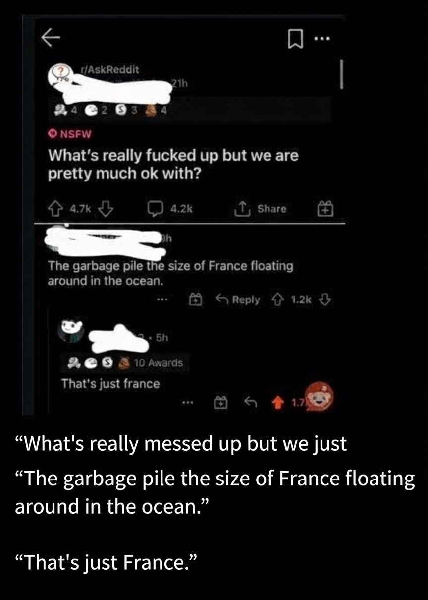 A screenshot of a Reddit post asking what is really messed up that people just accept, with a comment mentioning the floating garbage pile the size of France in the ocean, and a reply saying 'That's just France.'