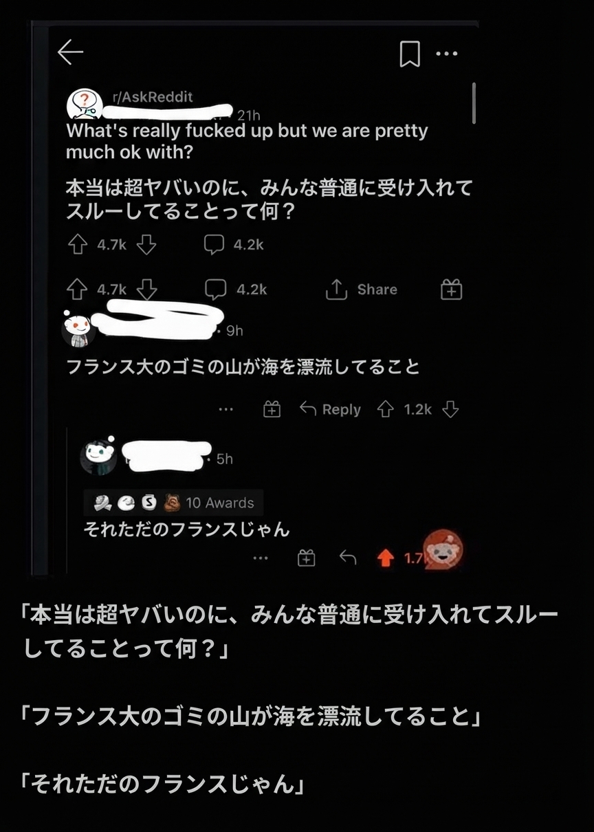 「実はかなりヤバいのにみんな何となく受け入れていることは？」というRedditの質問に対し、「海を漂うフランス大のゴミの山」というコメントと、「それただのフランスじゃん」という返信がついたスクリーンショット画面