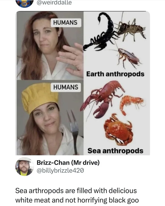 A meme contrasting humans rejecting land arthropods like scorpions and roaches versus embracing sea arthropods like lobster and shrimp, with a comment explaining that sea arthropods have delicious white meat instead of black goo.
