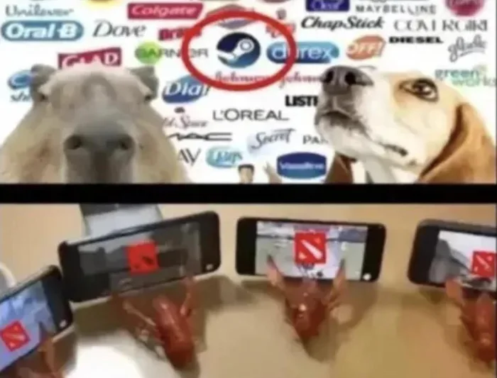A two-panel meme: top shows a capybara and a dog in front of brand logos with Steam circled in red; bottom shows crayfish set up in front of phones displaying Dota 2.