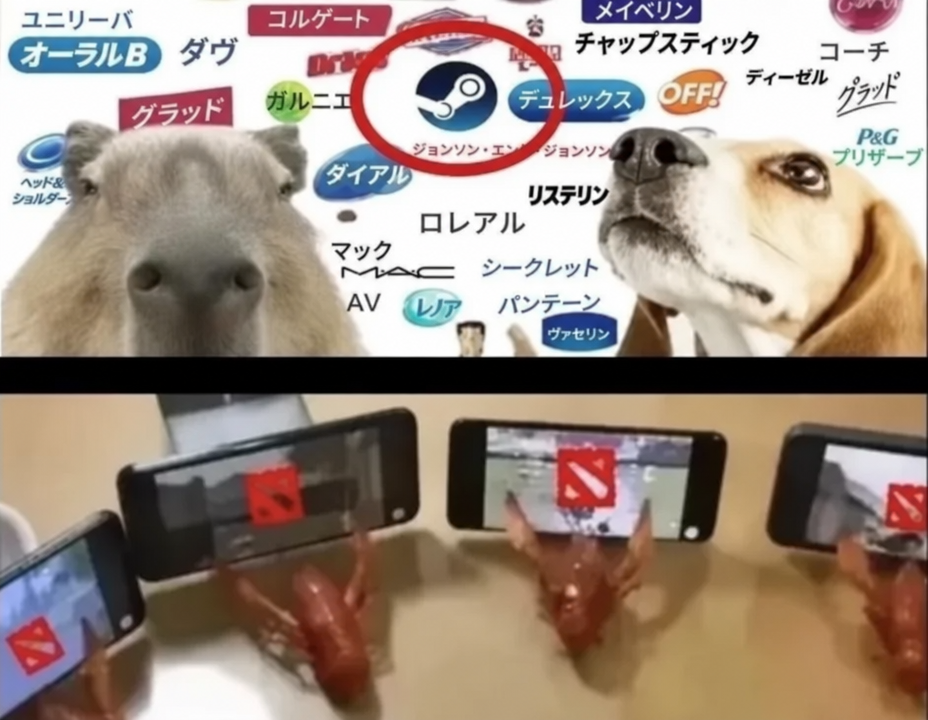 2枚構成のミーム：上の画像は、カピバラと犬がさまざまなブランドのロゴの前に並んでおり、Steamが赤丸で囲まれている。下の画像は、Dota 2の画面が表示されたスマホの前にザリガニがセットされている。