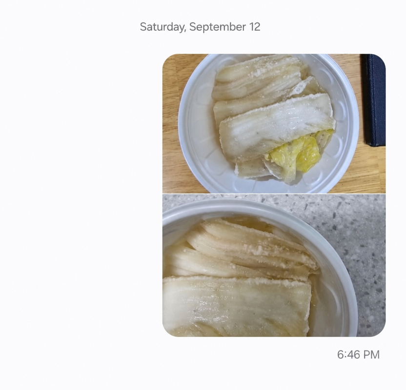 A mobile messenger chat screen showing two photos of white kimchi covered in severe white mold