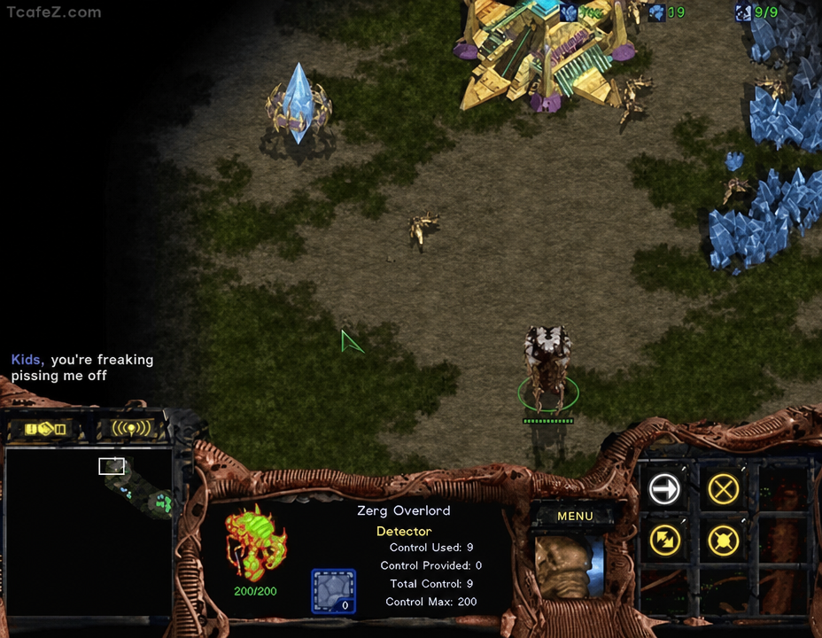 A Starcraft game screen showing a Zerg Overlord scouting a Protoss base, with the opponent typing 'F*** off' in the chat.