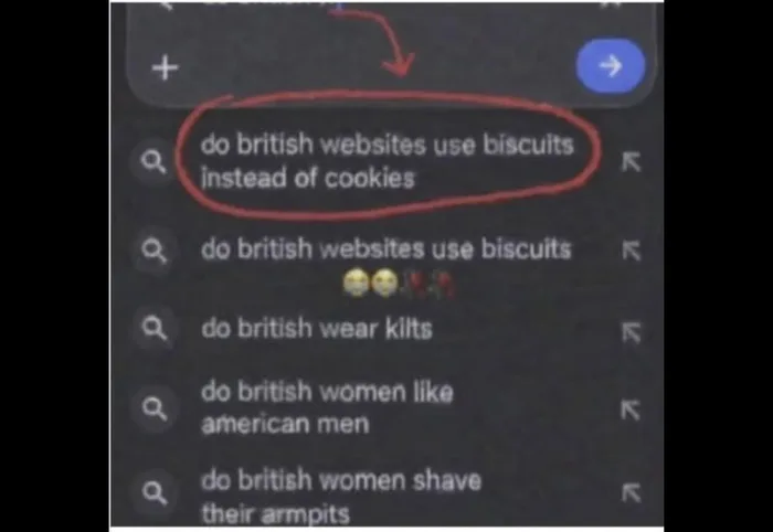 検索バーのサジェスト一覧。「イギリスのウェブサイトではcookieの代わりにbiscuitを使うのか」という候補が赤丸で囲まれている。