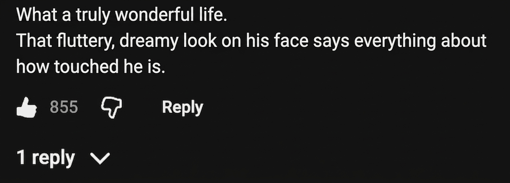 Screenshot of a YouTube comment admiring Anthony Hopkins' thrilled, dreamy expression