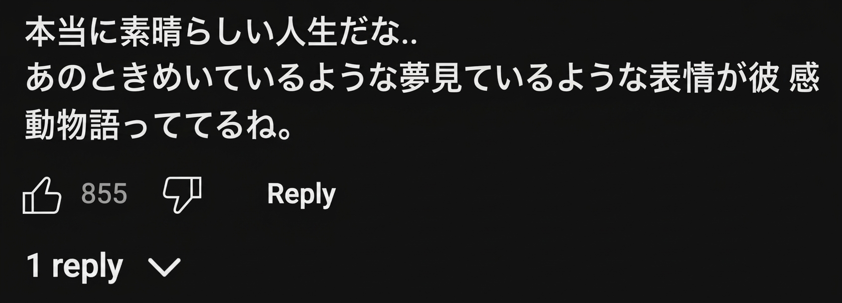ときめき夢見るような表情に感嘆するYouTubeのコメントのスクリーンショット