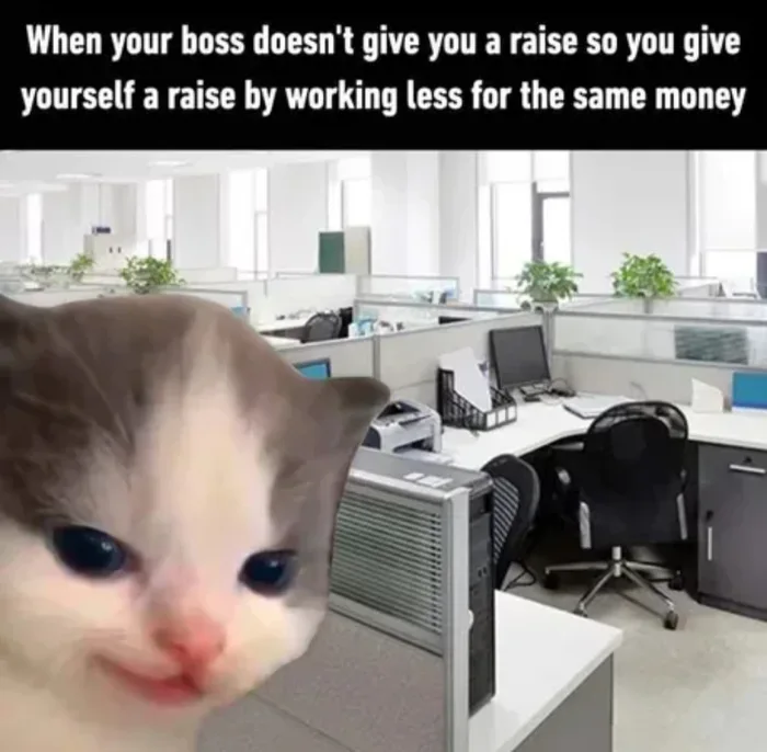 A kitten smirking slyly in an office cubicle setting, captioned with text about giving yourself a raise by working less for the same salary.