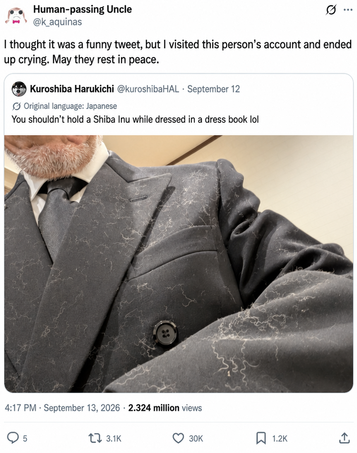 A Twitter screenshot showing a black suit jacket covered in white fur, with a caption saying the person thought it would be a funny tweet but ended up crying.
