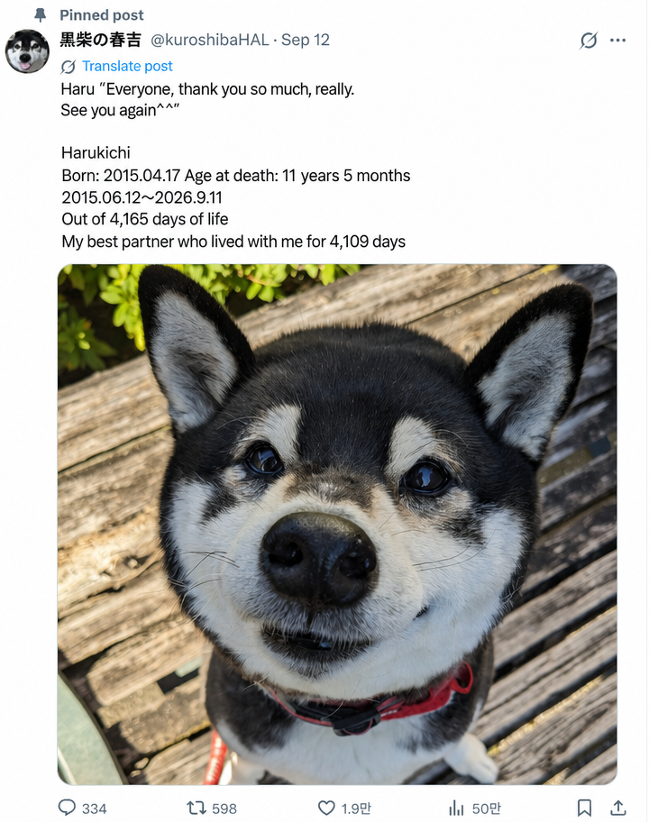 A Twitter screenshot of an obituary post announcing that his dog, Harukichi, has crossed the rainbow bridge, accompanied by a picture of a smiling black Shiba Inu.