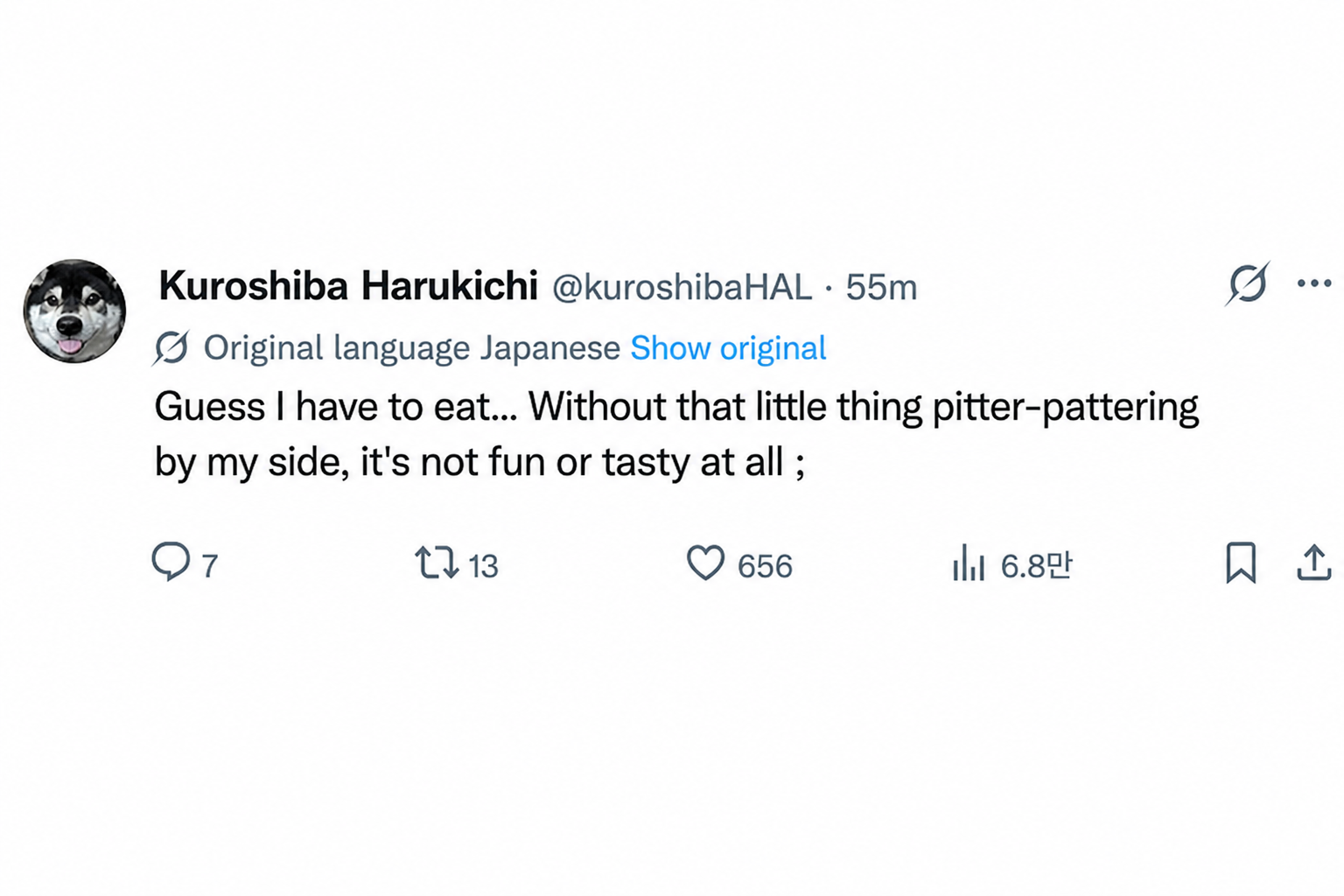A Twitter screenshot of a post about how eating meals isn't fun or tasty anymore because his companion isn't there begging by his side.