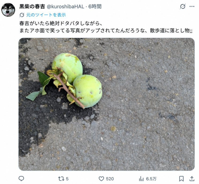 道に落ちている柿の写真と共に、もしあの子が生きていたら、匂いを嗅いで笑っている写真を撮っただろうという内容のツイートキャプチャ画面