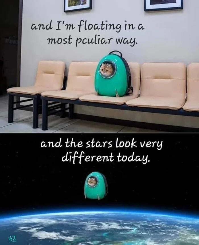 A cat inside a bubble backpack carrier sitting on clinic waiting chairs, paired with an edited picture of the carrier floating above Earth in outer space, set to lyrics from David Bowie's Space Oddity.
