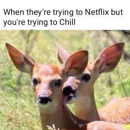 A meme of two deer in the grass, where one deer is looking forward while the other licks its neck from behind, with caption text above.