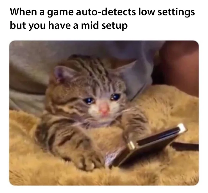 A crying cat meme sitting on a blanket looking sadly at a screen, captioned with text about a game auto-detecting low graphics settings on a mid setup.