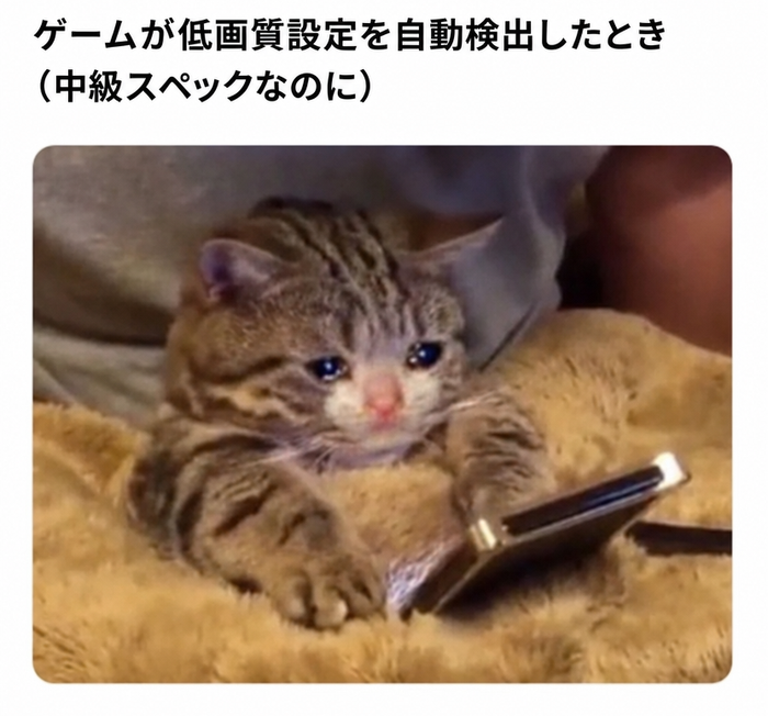 毛布の上に座り、悲しそうな顔で画面を見つめる泣いている猫のミーム。中級スペックなのにゲームが低画質設定を自動検出したというキャプション付き。