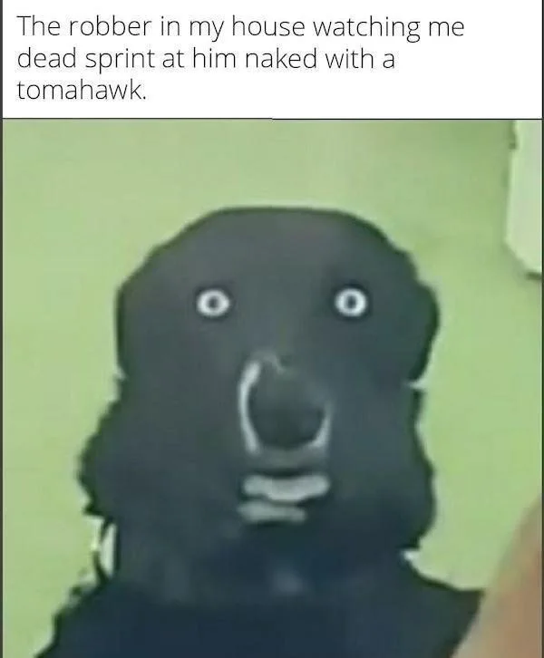 A meme featuring a black dog staring with wide, terrified human-like eyes under text about a burglar seeing someone charge naked with a tomahawk.
