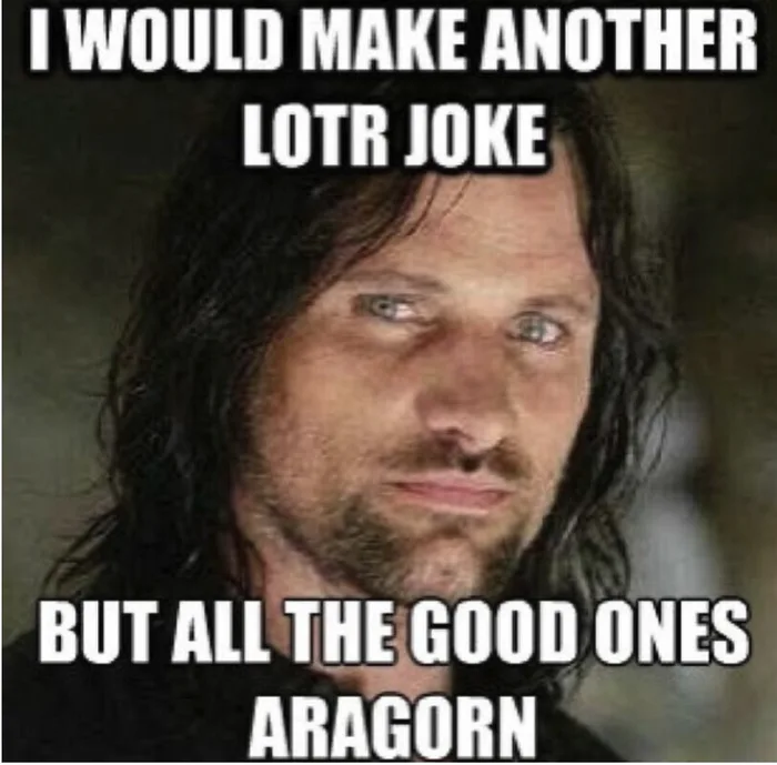 A meme featuring Aragorn from The Lord of the Rings with text playing on his name: 'I WOULD MAKE ANOTHER LOTR JOKE BUT ALL THE GOOD ONES ARAGORN'