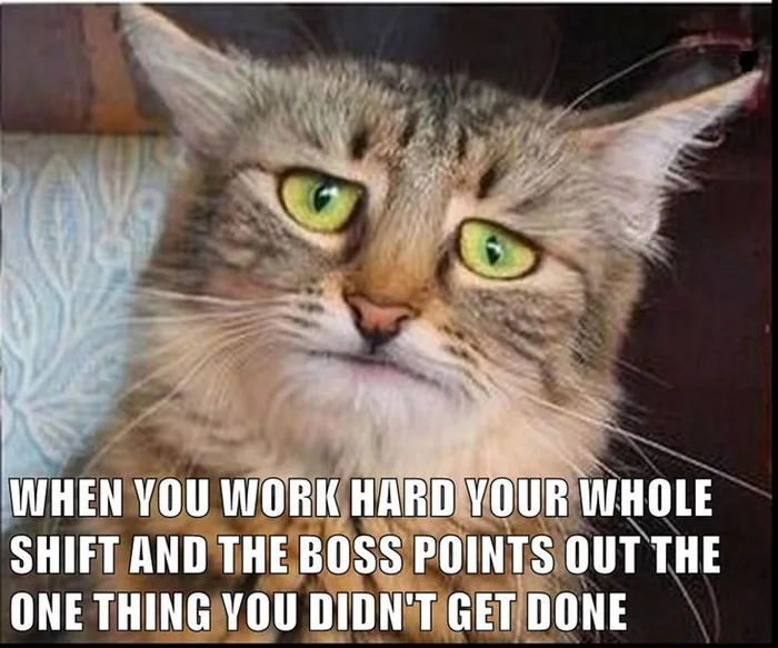 A cat looking deeply disappointed and sad, with text reading: 'WHEN YOU WORK HARD YOUR WHOLE SHIFT AND THE BOSS POINTS OUT THE ONE THING YOU DIDN'T GET DONE'