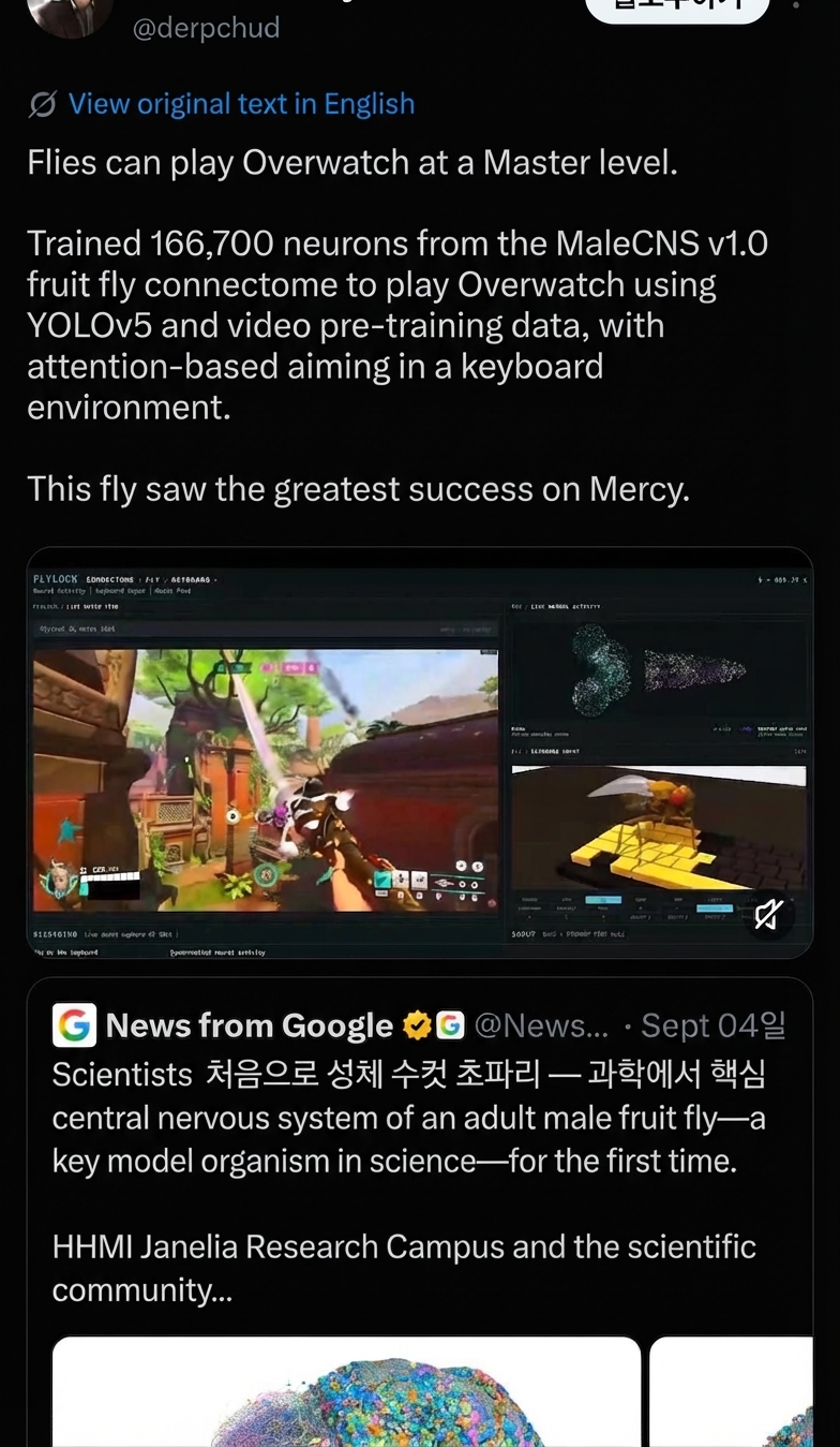 A screenshot of a social media post explaining that an AI model utilizing neuron connection data from a fruit fly's brain plays Overwatch at a Master tier level, achieving great success with Mercy.