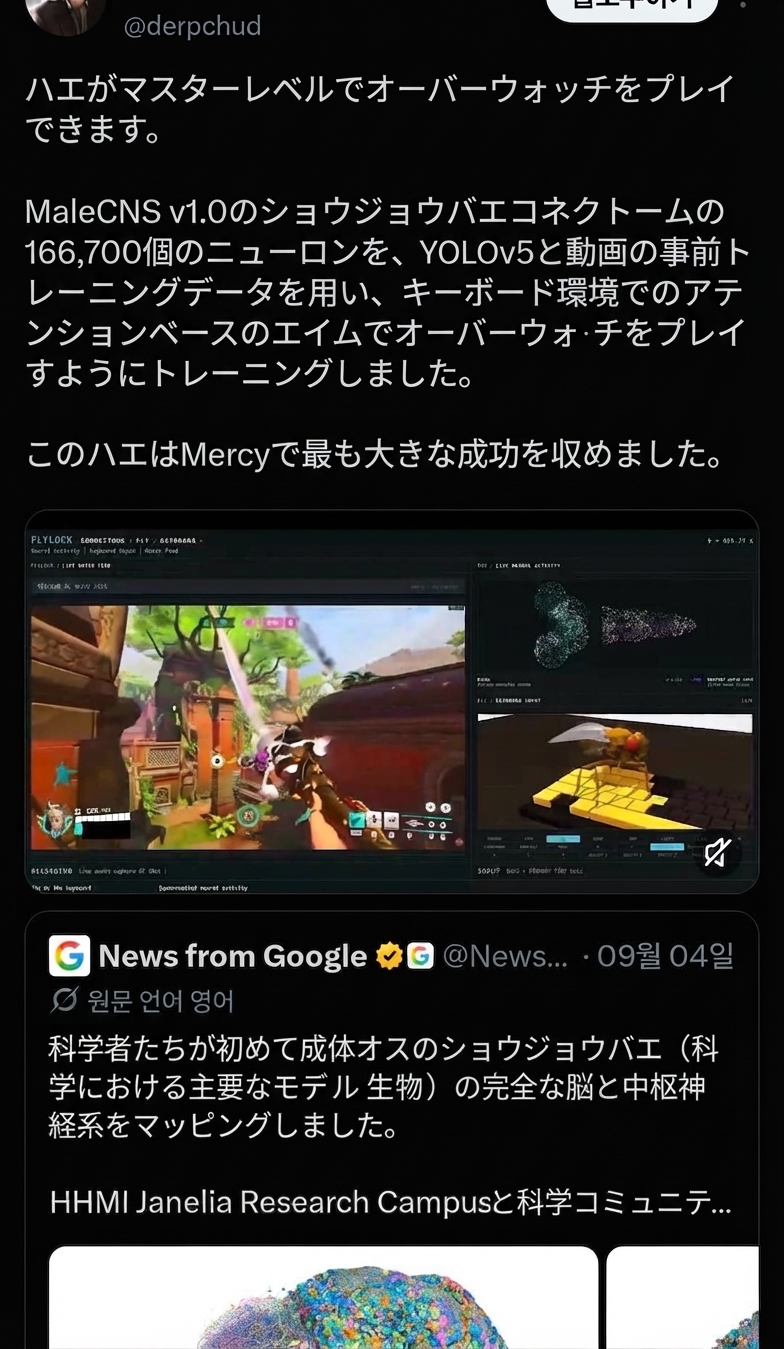 ショウジョウバエの脳の神経接続データを活用したAIモデルが、オーバーウォッチをマスターランク級の腕前でプレイし、マーシーで優れた戦績を収めたというSNS投稿のスクリーンショット。