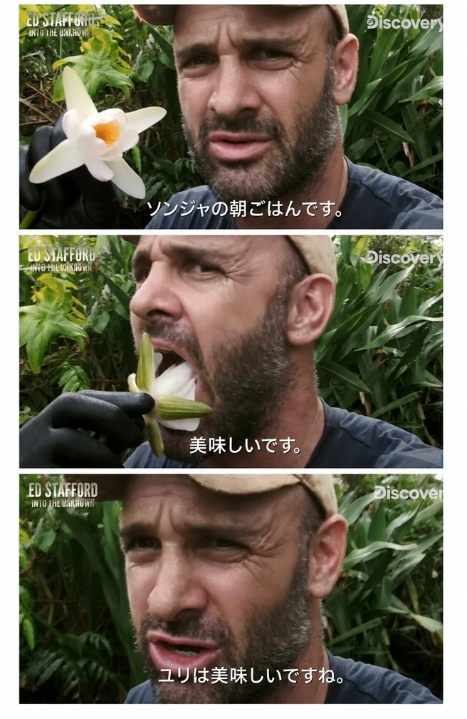 サバイバル専門家のエド・スタッフォードがユリの花を口に含みながら「勝者の朝食ですね。ユリは美味しいです」と字幕がついた番組のキャプチャ。