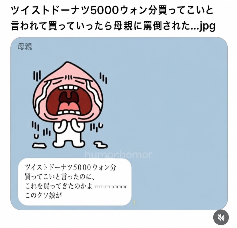 ツイストドーナツ5000ウォン分買ってきてと言ったのにこれを買ってきたのかと、泣き顔の絵文字と共に送られてきた母親からのカカオトークメッセージ