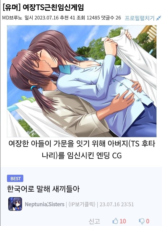 目まぐるしい複合属性を説明するギャルゲーのエンディング画像と、それに困惑するベストコメントのキャプチャ