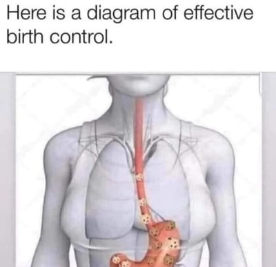 A meme captioned 'Here is a diagram of effective birth control' featuring a medical diagram of a person's upper torso with tiny baby faces traveling down the esophagus into the stomach.