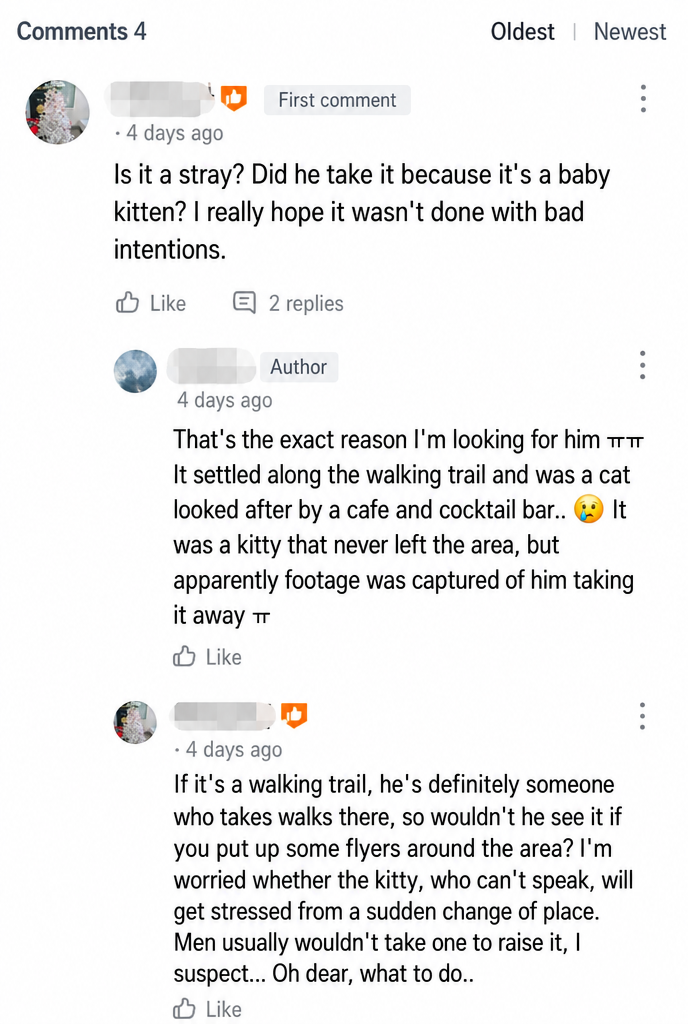 Screenshot of comments from residents worrying that the man took the kitten with bad intentions.