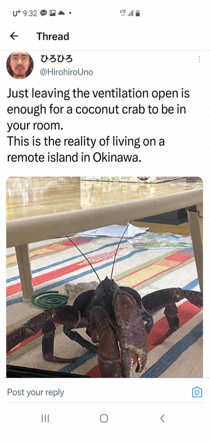 A Twitter screenshot showing a giant coconut crab sitting under a table in a room, accompanied by a post from a Japanese user about leaving the room ventilated and coming home to find a coconut crab inside.