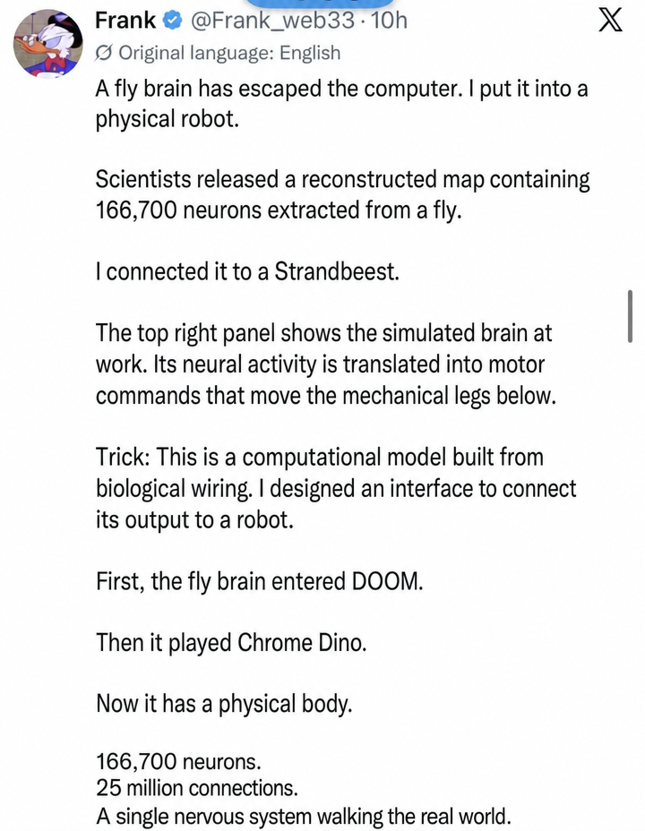 A screenshot of a post by Twitter (X) user Frank, explaining that a fly brain simulation has been connected to a physical robot.