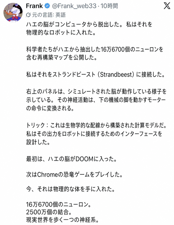 Twitter (X) ユーザーFrankの投稿のスクリーンショット。ハエの脳シミュレーションを物理的なロボットに接続したという説明が含まれている。