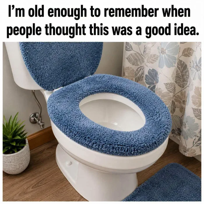 A bathroom toilet fitted with a plush blue carpeted cover on both the lid and the toilet seat.